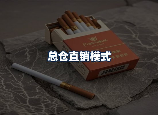专业团队办公环境